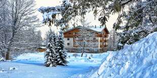 Vila Borievka*** pod Lomnickým štítom