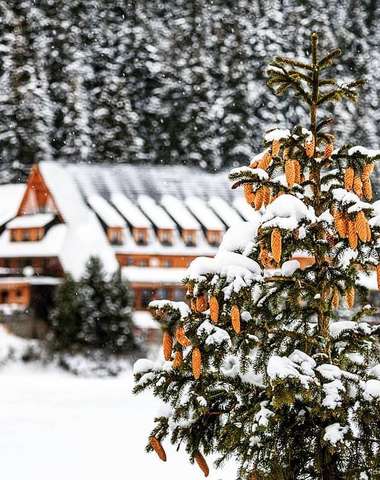 Horský Hotel Popradské Pleso vo Vysokých Tatrách