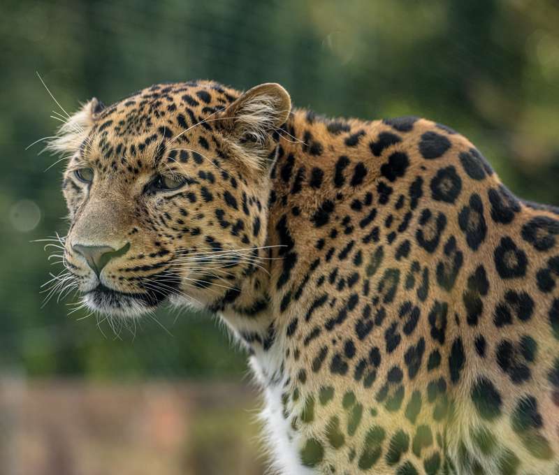 V zoologickej záhrade uvidíte cca 1500 zvierat vrátane unikátov