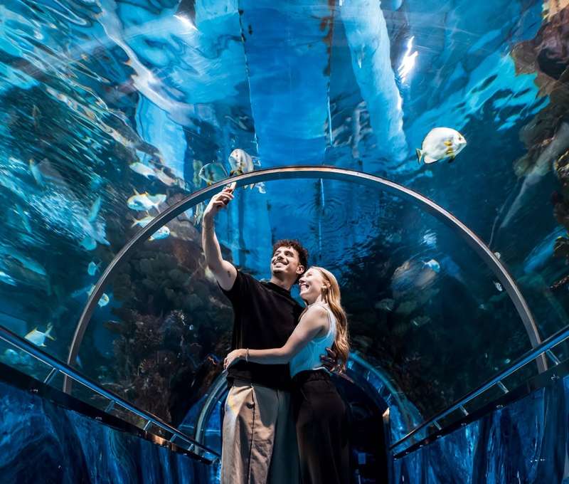 Výlet do ZOO Budapešť a Tropicaria s cestovnou kanceláriou Travelholic