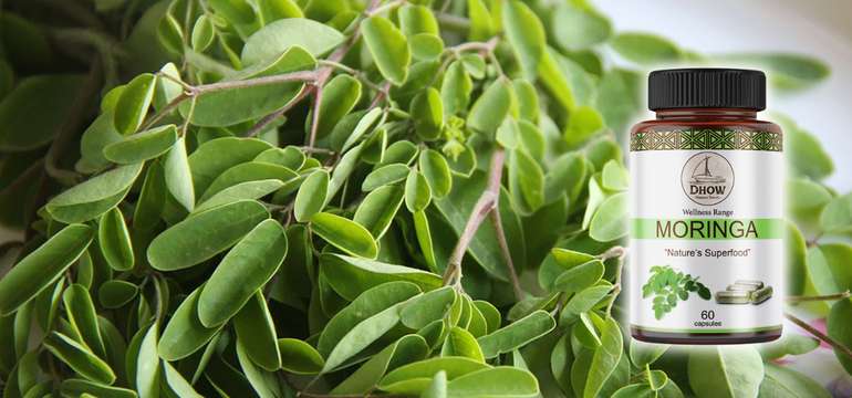 Moringa kapsuly 