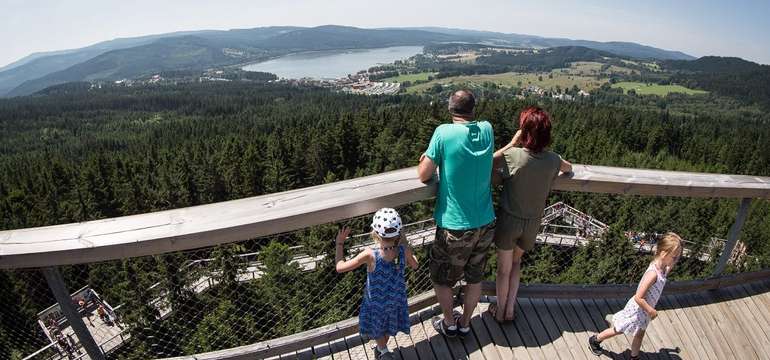 Výhled na Lipno ze Stezky korunami stromů