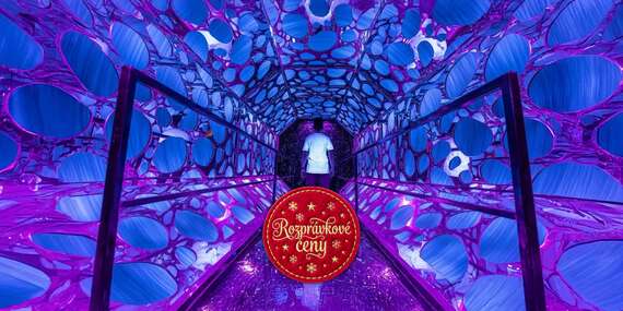EXTRA CENY: LUMINAVERSE ON ICE - zimná svetelná výstava v mrazivej atmosfére v Liptovskom Mikuláši/Liptovský Mikuláš