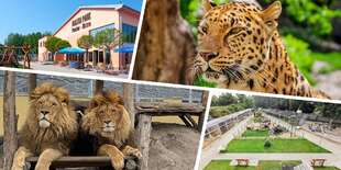 Vstup do Malkia Parku so šelmami a kontaktnými zvieratkami