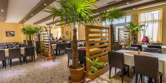 Obľúbená pizza podľa vlastného výberu v reštaurácii Oáza pri Draždiaku/Bratislava – Petržalka