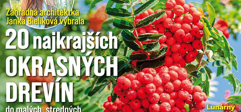 Ročné predplatné inšpiratívneho časopisu Záhrada