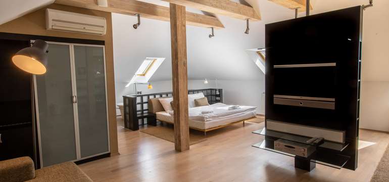 Hotel Villa Nečas****, ubytovanie  v apartmáne