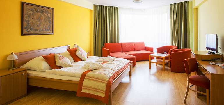 Wellness Hotel Patince****, Izba Superior