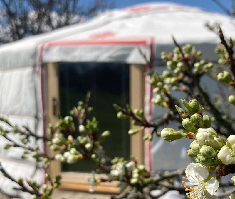 Netradičná Jurta Pod Kriváňom s raňajkami a saunou