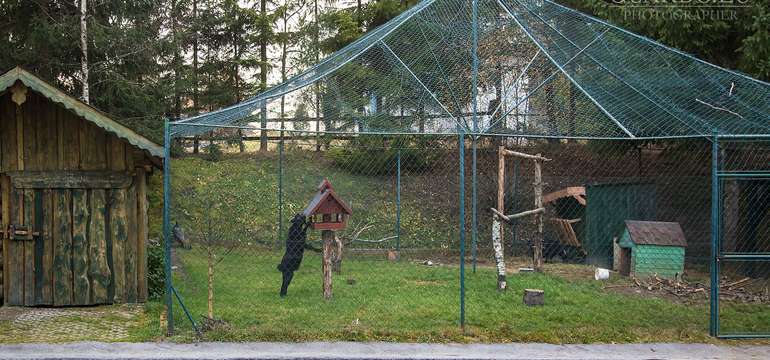 Mini ZOO pri apartmánovom dome