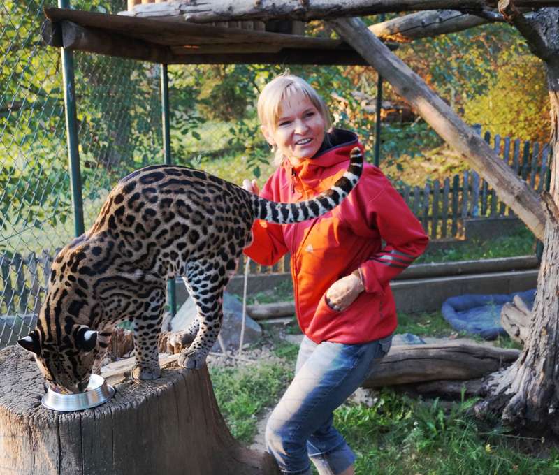 Při dobrém rozpoložení šelem si budete moci některou z nich i pohladit