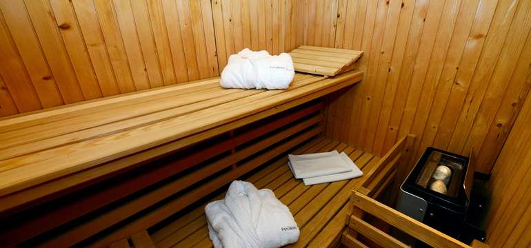 Vstup do wellness (za príplatok)