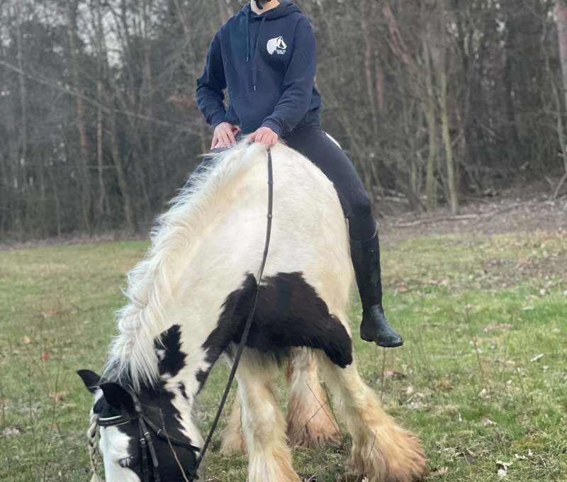 Najkrajší pohľad na svet je z konského chrbta