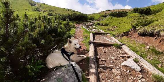 EXTRA CENA: Penzión Slovakia s raňajkami v goralskej obci Ždiar s krásnym výhľadom na Belianske Tatry/Vysoké Tatry - Ždiar