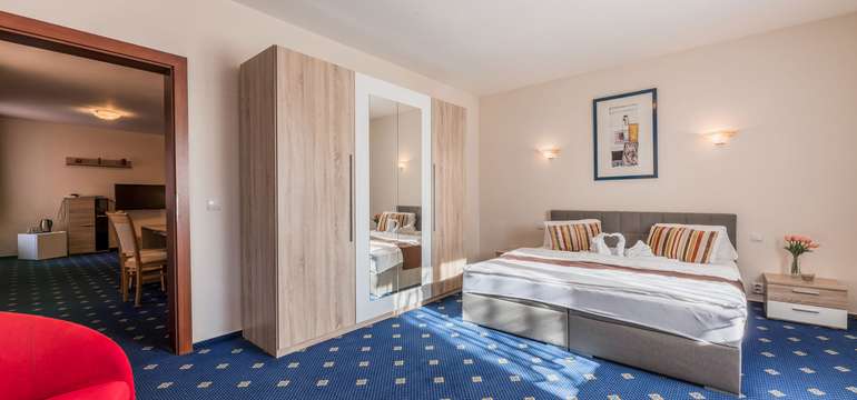 Apartmán je hotelová izba,ktorá poskytuje najvyšší štandard a má rozlohu 40m²