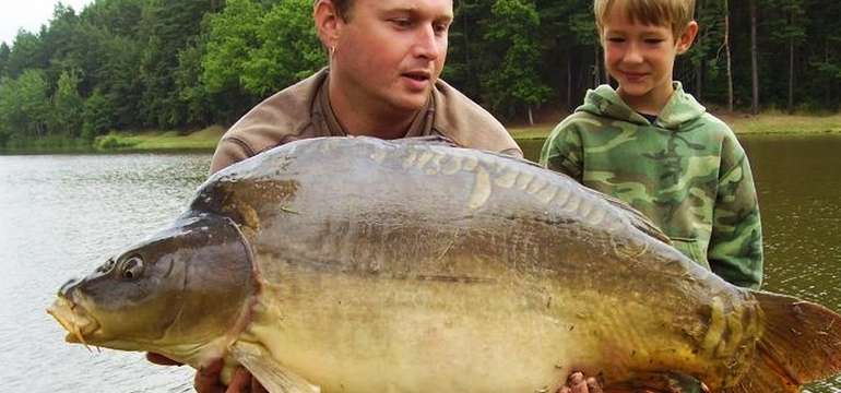 Milovníci rekreačního rybolovu mají možnost si zachytat na nedalekém Vášově mlýně