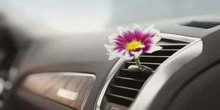 Servis klimatizácie, plnenie chladivom vrátane materiálu + kontrola vozidla zdarma v 365 Car Service