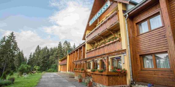 Wellness pobyt v hoteli Bystrina*** v Demänovskej Doline / Liptov - Demänovská Dolina