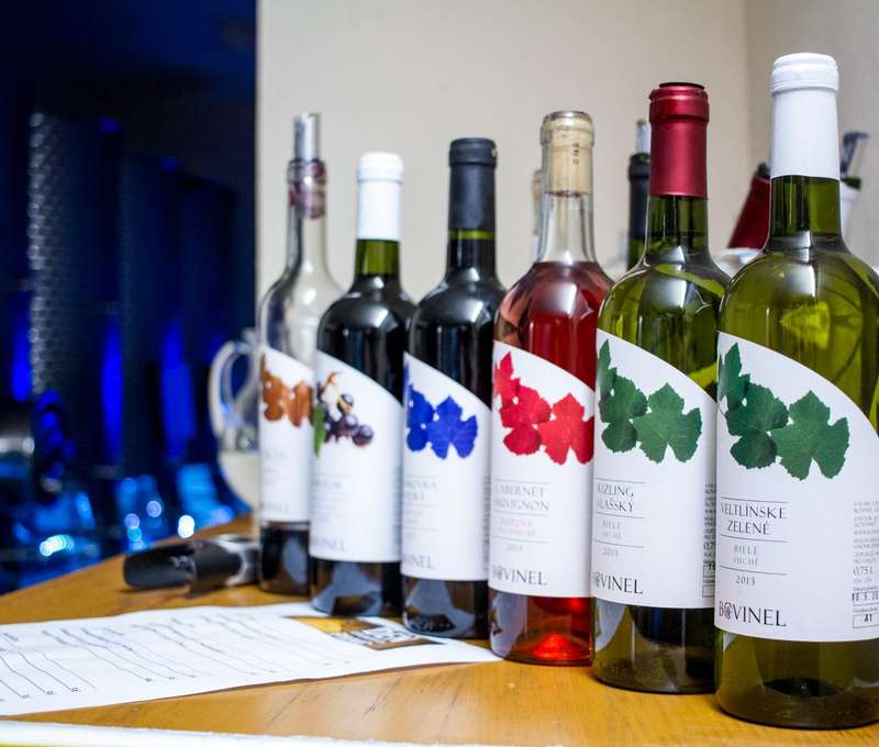 Degustácia vín v rodinnom vinárstve BOVINEL