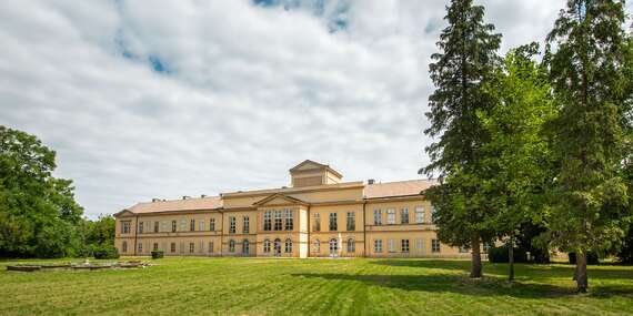 Relaxačný pobyt v Poľovníckom kaštieli Palárikovo so vstupom do wellness a polpenziou/Palárikovo