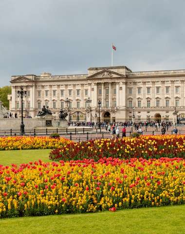 Buckinghamský palác a pamätník kráľovnej Viktórie s kvitnúcimi záhonmi