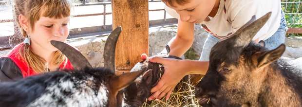 tipy na vylet ZOO bratislava