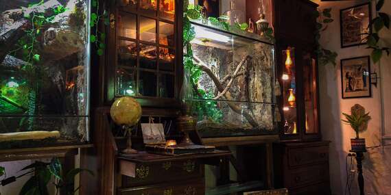 Tropical World - prvá kontaktná ZOO s plazmi na Slovensku v nových väčších priestoroch/Zvolen - Sielnica