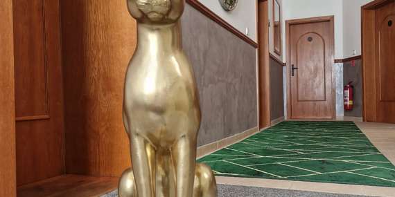 Luxusné apartmány Aurelius s privátnym vstupom do wellness v Trenčíne/Trenčín