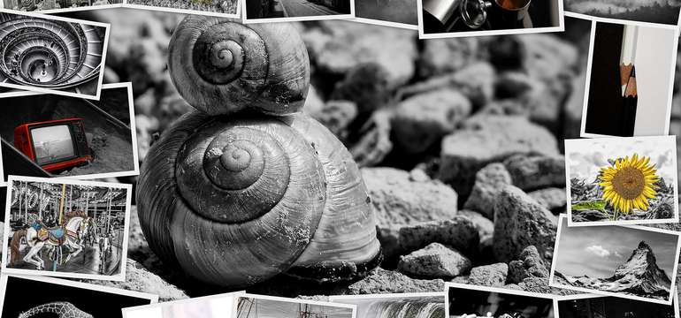 Koláž na plátne z vlastných fotografií - veľa rozmerov na výber
