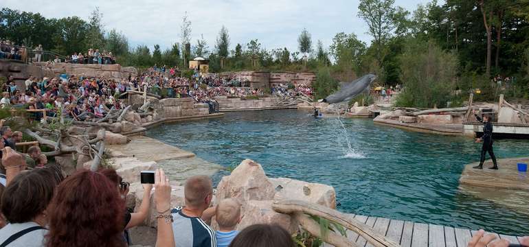 Delfinárium norimberské zoologické zahrady