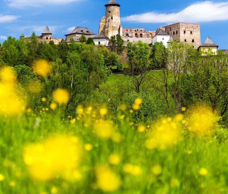 Ľubovniansky hrad