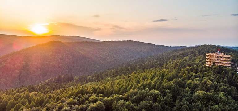 V Krynici otvorili poľský chodník korunami stromov (30 min. autom)