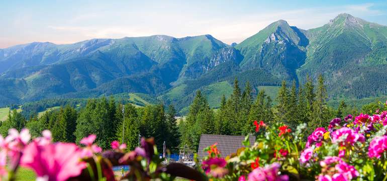 Chalet Strachan v Ždiari