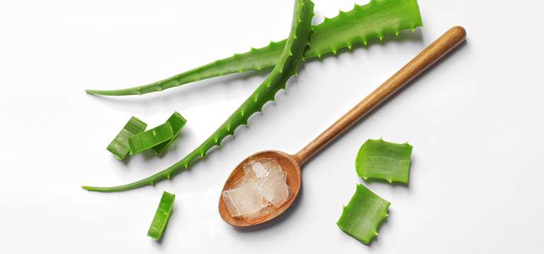 Aloe vera je vhodná aj pri rôznych kožných problémoch