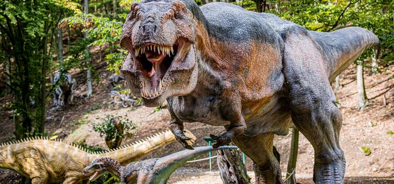 DinoPark ako súčasť Zoologickej záhrady Košice