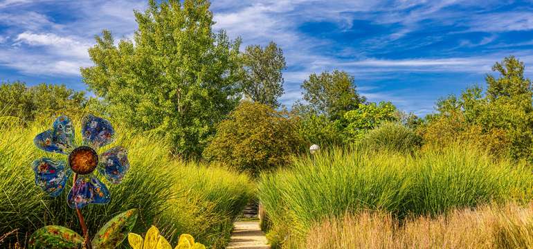 Chodník medzi okrasnými trávami vo vzorových záhradách Die Garten Tulln