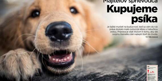 Ročné predplatné - 4 vydania časopisu Svet zvierat/Slovensko