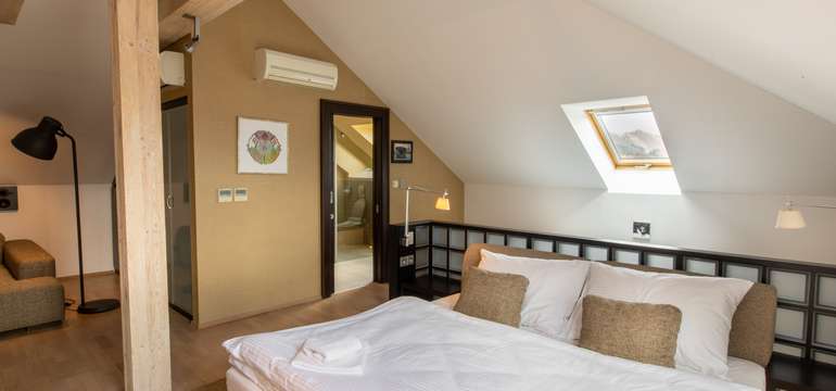 Hotel Villa Nečas****, ubytovanie  v apartmáne
