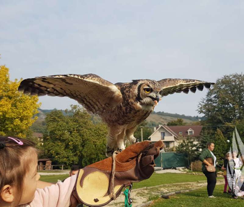 Sokoliareň a minizoo Devín