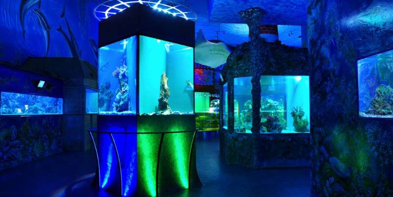 morsky svet praha vylet