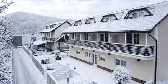 Penzión Odysea so vstupom do wellness na Zemplíne pri Vinianskom jazere / Zemplín - Vinné