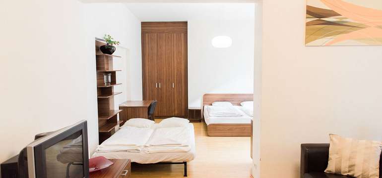 Lion Apartment 7 na Medenej 