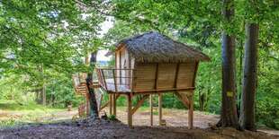 Zážitkové ubytovanie v domčeku na strome s raňajkami a možnosťou wellness