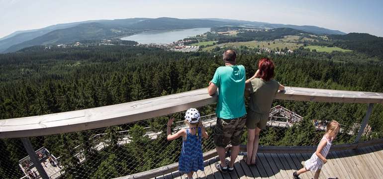 Neotřelý výhled na Lipno nabízí populární Stezka v korunách stromů