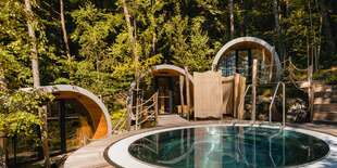 Saunový svet Zelená žaba