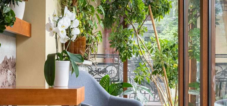 Hotel Willa pod Skocznią*** v polském městečku Zakopané