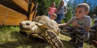ZOOKONTAKT family park