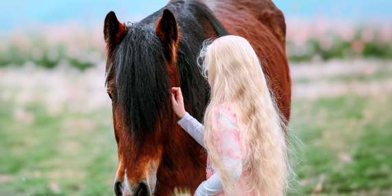 Tréning jazdenia, krúžok pre deti aj prechádzky na koni/Šenkvice