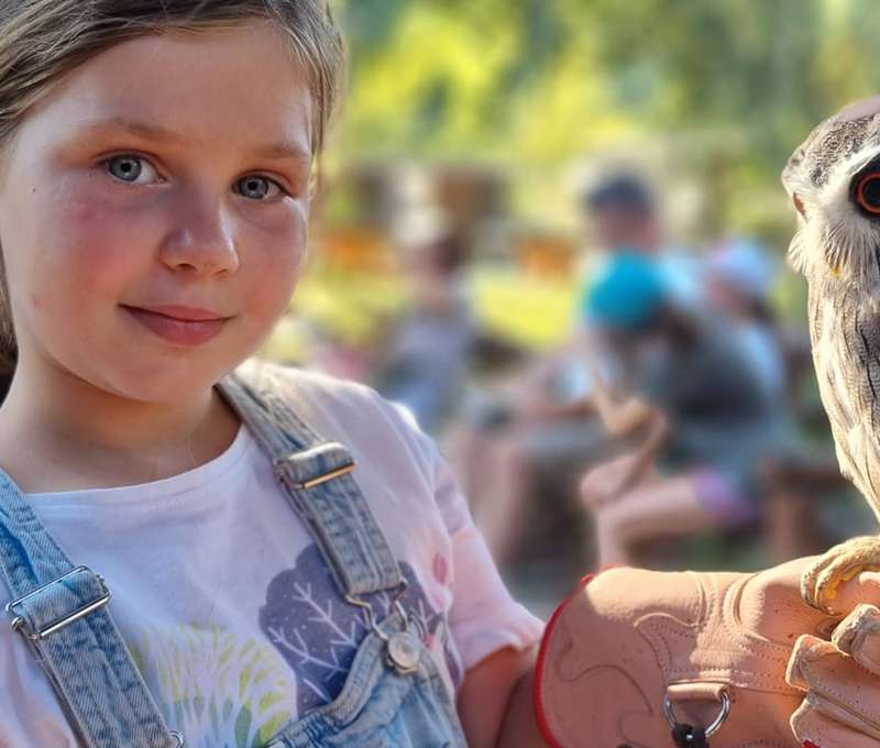 Sokoliareň a minizoo Devín