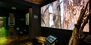 Zážitková prehliadka unikátov Tatier